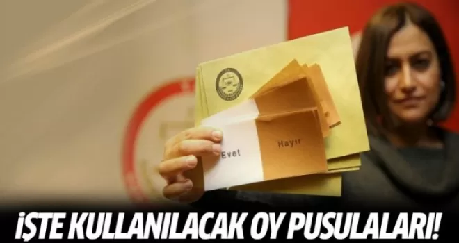 İşte referandumda kullanılacak oy pusulaları