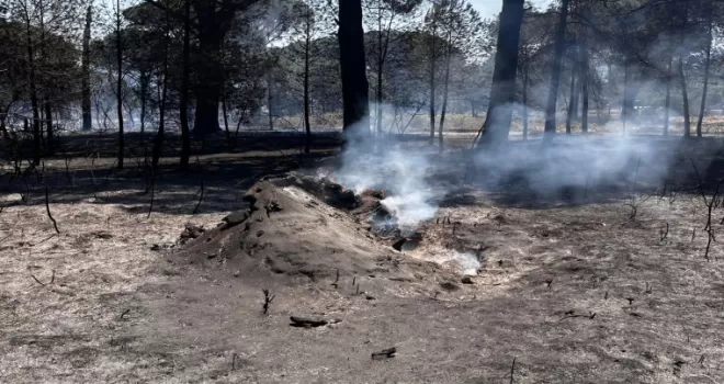 İzmir Bergama’daki orman yangını kontrol altında