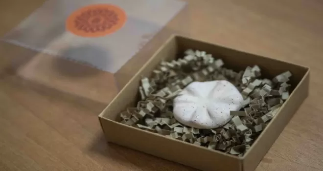 İzmir Bornova’nın 8 bin 500 yıllık hafızası gün yüzünde