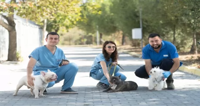İzmir’de el konulan 20 cins köpek sahiplendirilecek