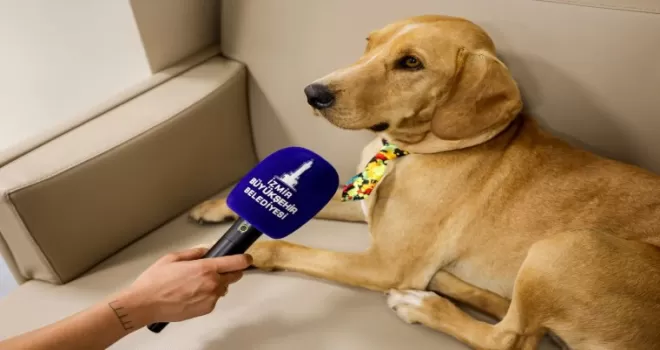 İzmir’de patili dost Bal, merkezin neşesi oldu