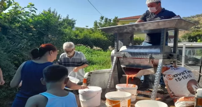 İzmir Efes Selçuk’ta kışlık domates hazırlığı