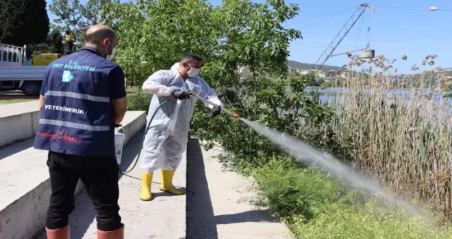İzmit’te halk sağlığı için yoğun ilaçlama mesaisi