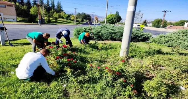 Kayseri Büyükşehir’den yabani otlarla sıkı mücadele