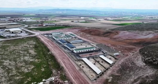 Kayseri Kocasinan’dan sokak hayvanlarına özel mekan