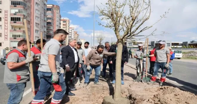 Kayseri Melikgazi’den yemyeşil atılım