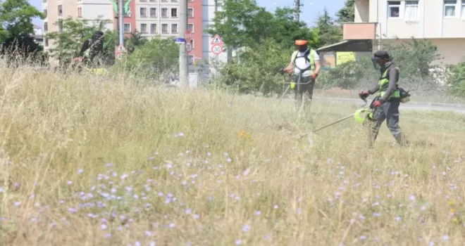 Kocaeli Çayırova’da boş arazilerdeki otlar biçiliyor