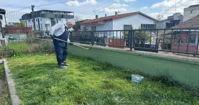 Kocaeli Çayırova’daki parkların duvarlarında bakım çalışması