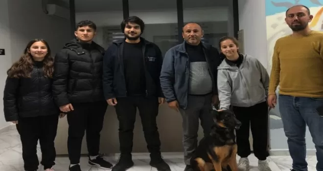 Kocaeli’de  275 cana yuva bulundu