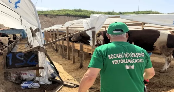 Kocaeli’de 4 ilçede kurban pazarları ilaçlanıyor
