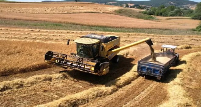 Kocaeli’de 57 bin dekarda hasat sevinci