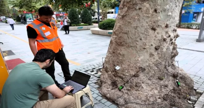 Kocaeli’nin doğal mirasına tomografi