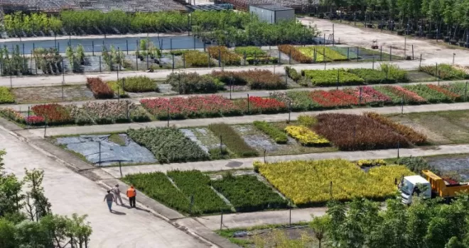 Kocaeli’yi yeşillendiren fidanlık