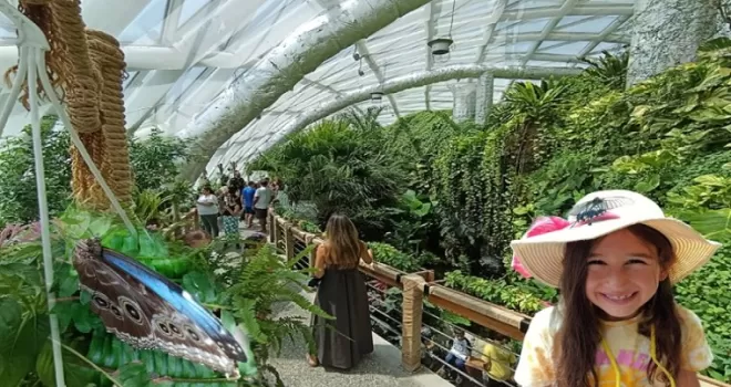 Konya’nın tropikal bahçesi ziyaretçileri büyülüyor