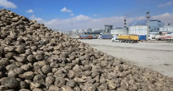 Konya Pancar Ekicileri bu yıl verimden memnun