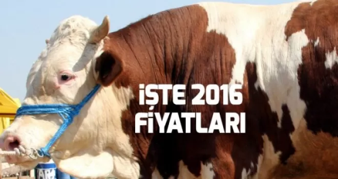 Kurbanlık fiyatları açıklandı