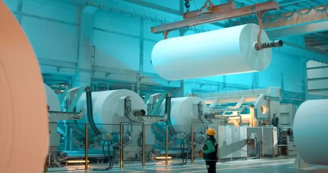 Lila Kağıt, 2025’i güçlü finansal performansla kapattı