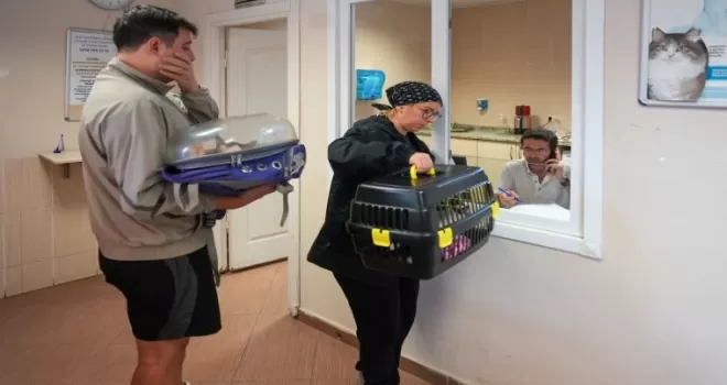 Maltepe’den sokaklarındaki can dostlarına ücretsiz muayene