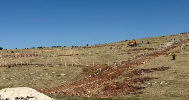 Mardin Artuklu Belediyesi’nden hayvan dostu projeler