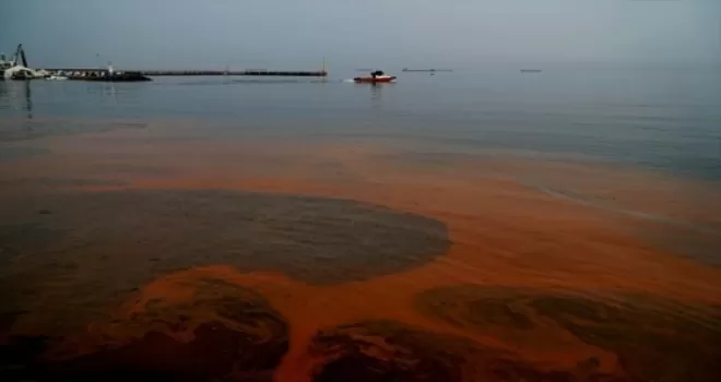 Marmara Denizi'nin rengi değişti