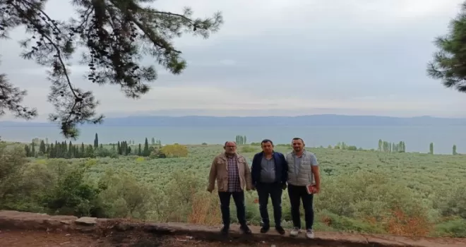 Marmarabirlik’ten ’anıt zeytin ağaçları’na özel marka vizyonu