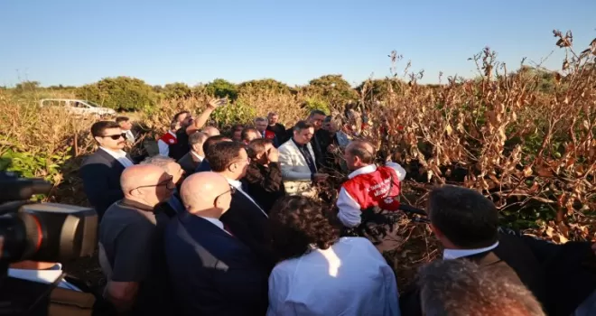 Mersin’de narenciye bahçelerine ’zirai don’ incelemesi