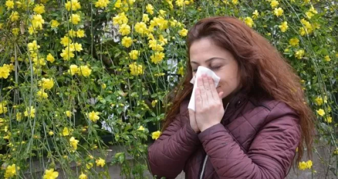 Meteoroloji 'polen' tahmininde de bulunacak