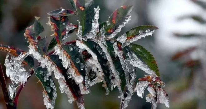 Meteorolojiden 5 il için buzlanma ve don uyarısı