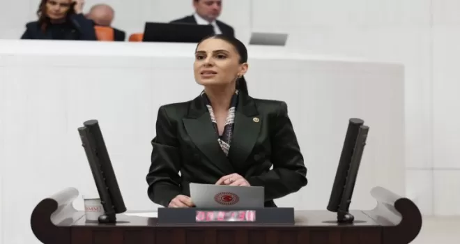 Milletvekili Özcan’dan sokak hayvanları için Bakan Yumaklı’ya önerge