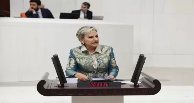 Milletvekili Özdemir öğrencilerin aç okula gitmesini TBMM’ye taşıdı