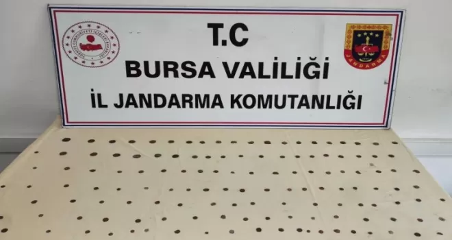 Mudanya Bademli’de tarihi eser operasyonu: 2 gözaltı