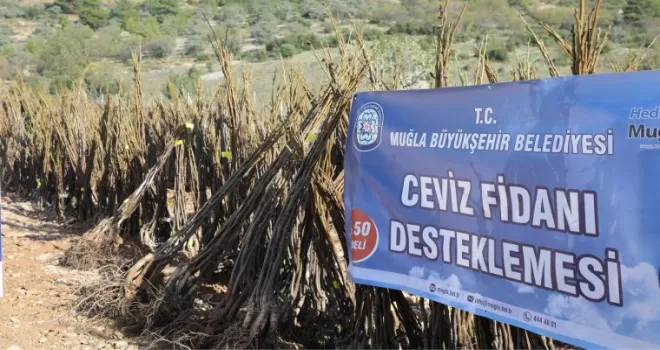 Muğla’da her kapıda bir fidan!