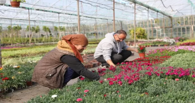 Muğla’da kadın emeğiyle çiçek devrimi... 27 milyon çiçek, 23 milyon tasarruf