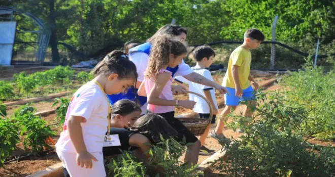 Muğla’da minik eller hasat sevinci yaşadı