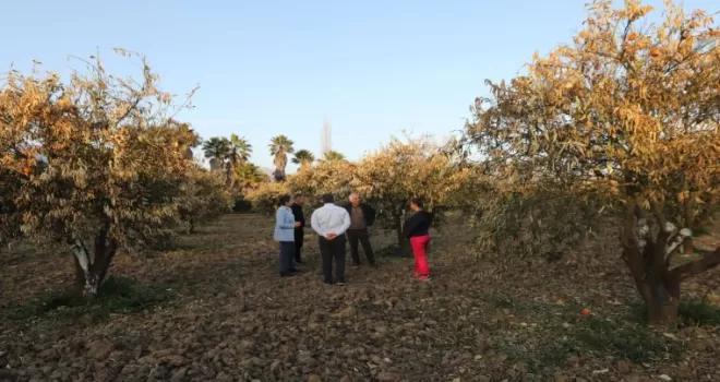 Muğla’da tarımın geleceği alarm veriyor... MUPA’dan sürdürülebilirlik raporu