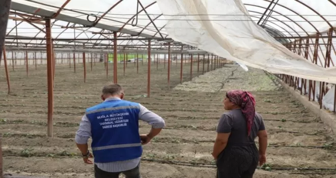 Muğla’da zarar gören üreticiye naylon desteği