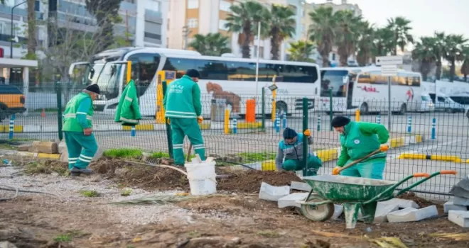 Muğla Milas yeşile bürünüyor