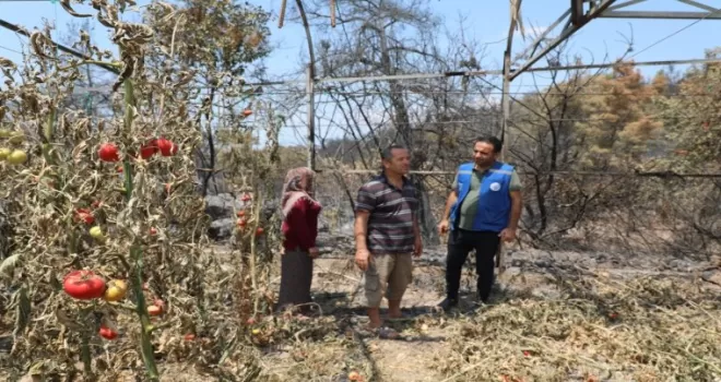 Muğla Seydikemer’de yangın sonrası seferberlik