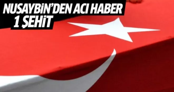 Nusaybin'de 1 asker şehit oldu