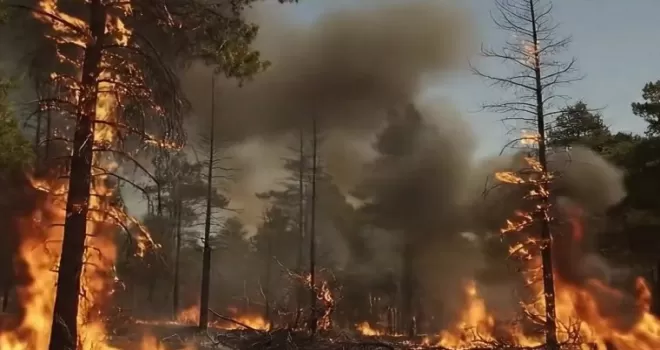 OGM’den orman yangını uyarısı! Yangınlara sebebiyet ciddi suçtur