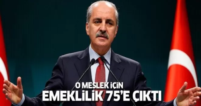 Öğretim üyelerinin emeklilik yaşı arttı