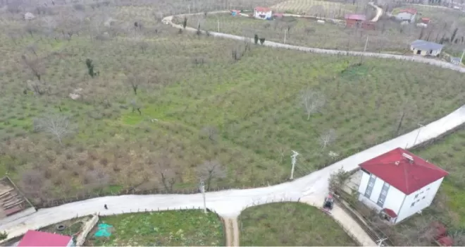 Ordu Büyükşehir’den Kumru’da yol seferberliği