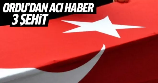Ordu'da Ormanlık Alandan Ateş Açıldı! 3 şehit, 2 yaralı
