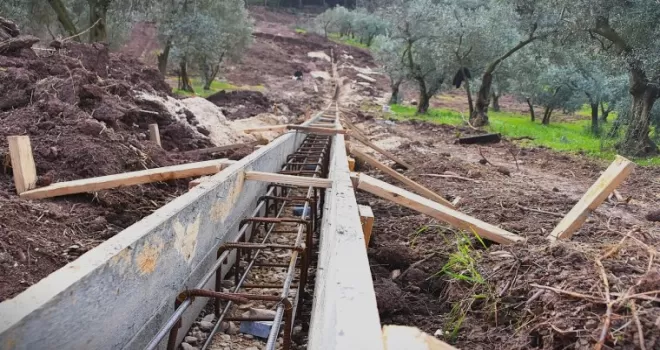 Patili canlar yeni yuvalarına kavuşuyor