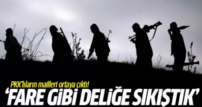PKK'lıların Mailleri Ortaya Çıktı! Fare Gibi Deliğe Sıkıştık