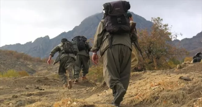 PKK'nın iğrenç yüzü bir annenin ifadesinde