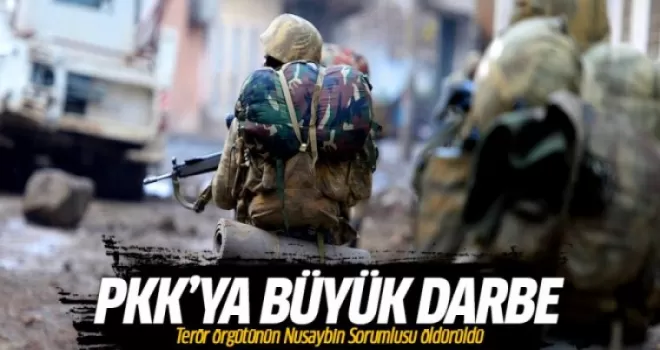 PKK'nın Nusaybin Sorumlusu Zamani Çamak öldürüldü
