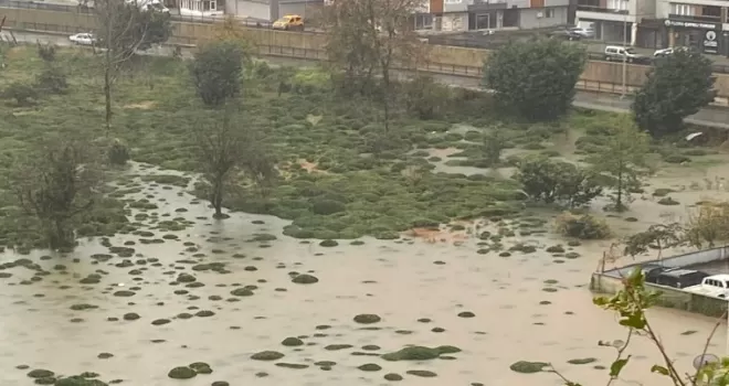Rize Çayeli’nde heyelan! CHP: Bu tür afetler kader değil, basiretsizliktir!