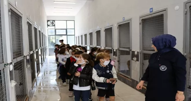 Sakarya’da can dostların yeni dünyasına hayran kaldılar