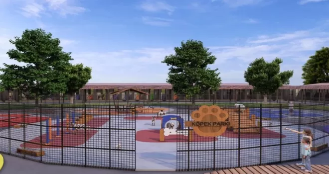 Sakarya’da sahipsiz hayvanlar doğal alanına kavuşacak